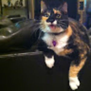 Meet your Posher, Nikki